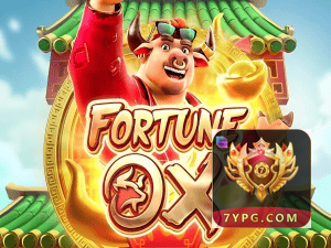 Download 7YPG Windows